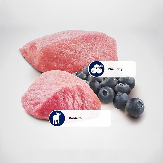 N&D Prime Ração Farmina Cordeiro e Blueberry Cães Adultos Raças Médias